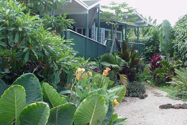 4386 Hee Road Hanalei, HI 96714 - Photo 4 of 28 a backyard of a house with lots of green space