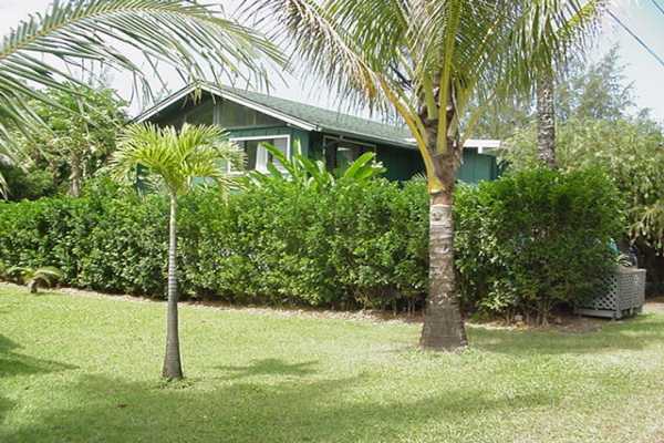 4386 Hee Road Hanalei, HI 96714 - Photo 6 of 28 a house with a tree in front of it