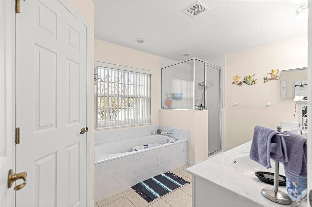 8601 Southwest 60th Circle Ocala, FL 34476 - Photo 20 of 45 a bathroom with a bathtub sink and mirror