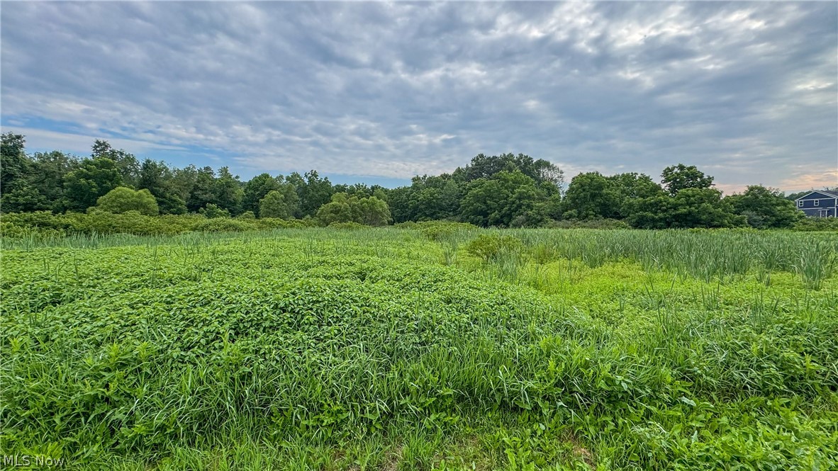0 Pontius Road Mogadore, OH 44260 - Photo 22 of 32 Gallery Image 22