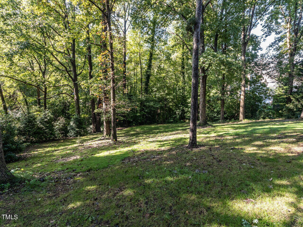 3203 Leonard Street Raleigh, NC 27607 - Photo 49 of 50 Backyard