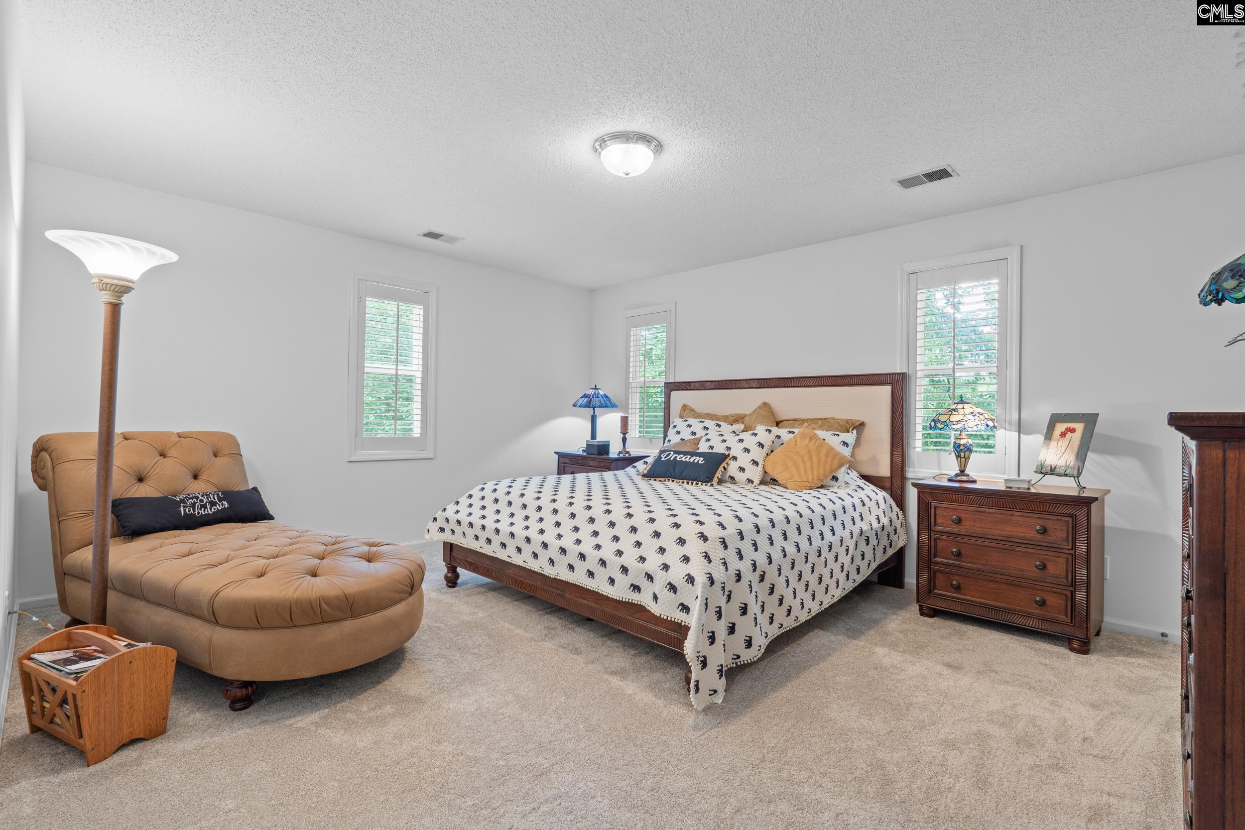 132 Forts Pond Road Pelion, SC 29123 - Photo 26 of 54