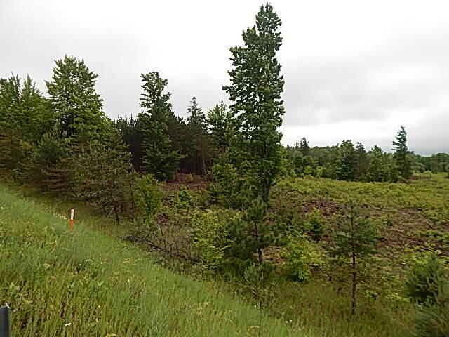 11500 West 14 Road Mesick, MI 49668 - Photo 23 of 23 DSCN1986