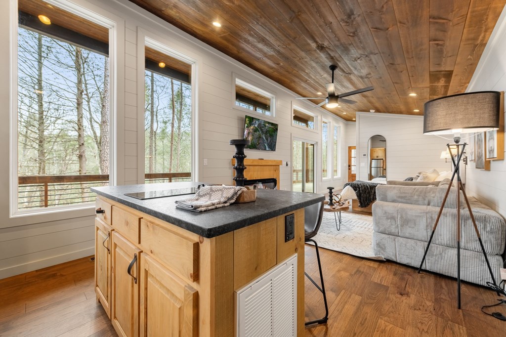 325 Hemlock Trail Blue Ridge, GA 30513 - Photo 14 of 25