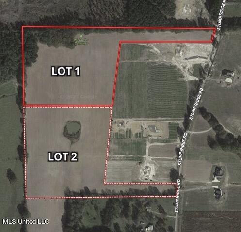 1 Stump Ridge Road Brandon, MS 39047 - Photo 1 of 1 Stump Ridge Aerial