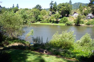 22410 Moscow Road Duncans Mills, CA 95430 - Photo 2 of 7 Gallery Image 2