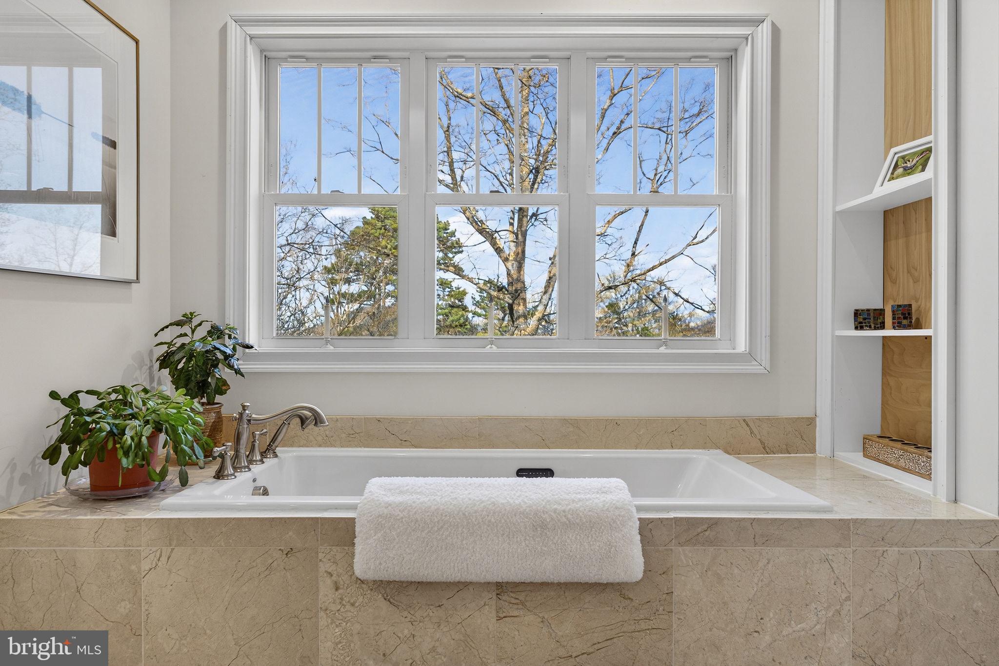 40 Angel Kiss Lane Castleton, VA 22716 - Photo 21 of 56 Big picture windows to watch the weather and soak