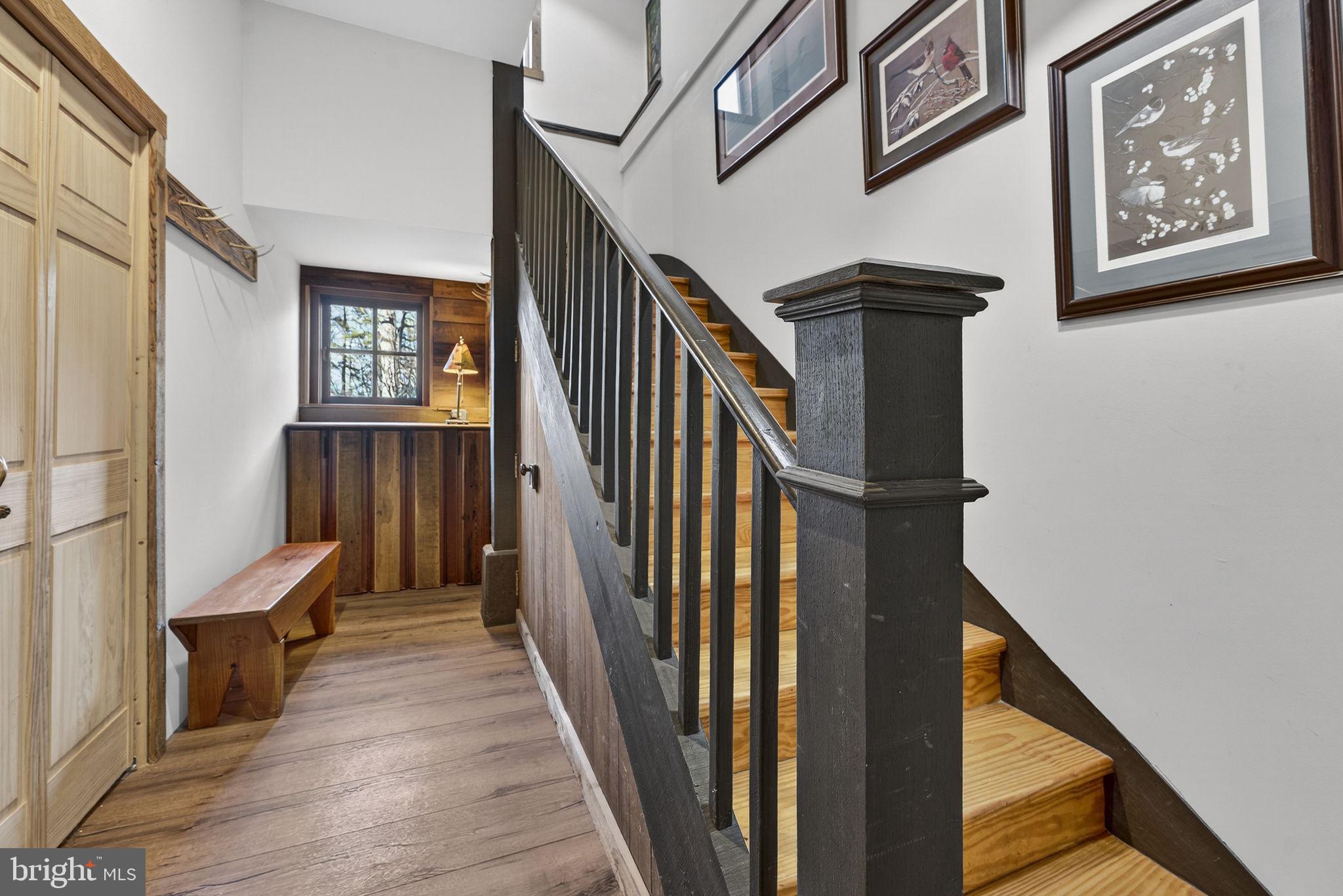 40 Angel Kiss Lane Castleton, VA 22716 - Photo 30 of 56 Lower level stairs and more storage closets