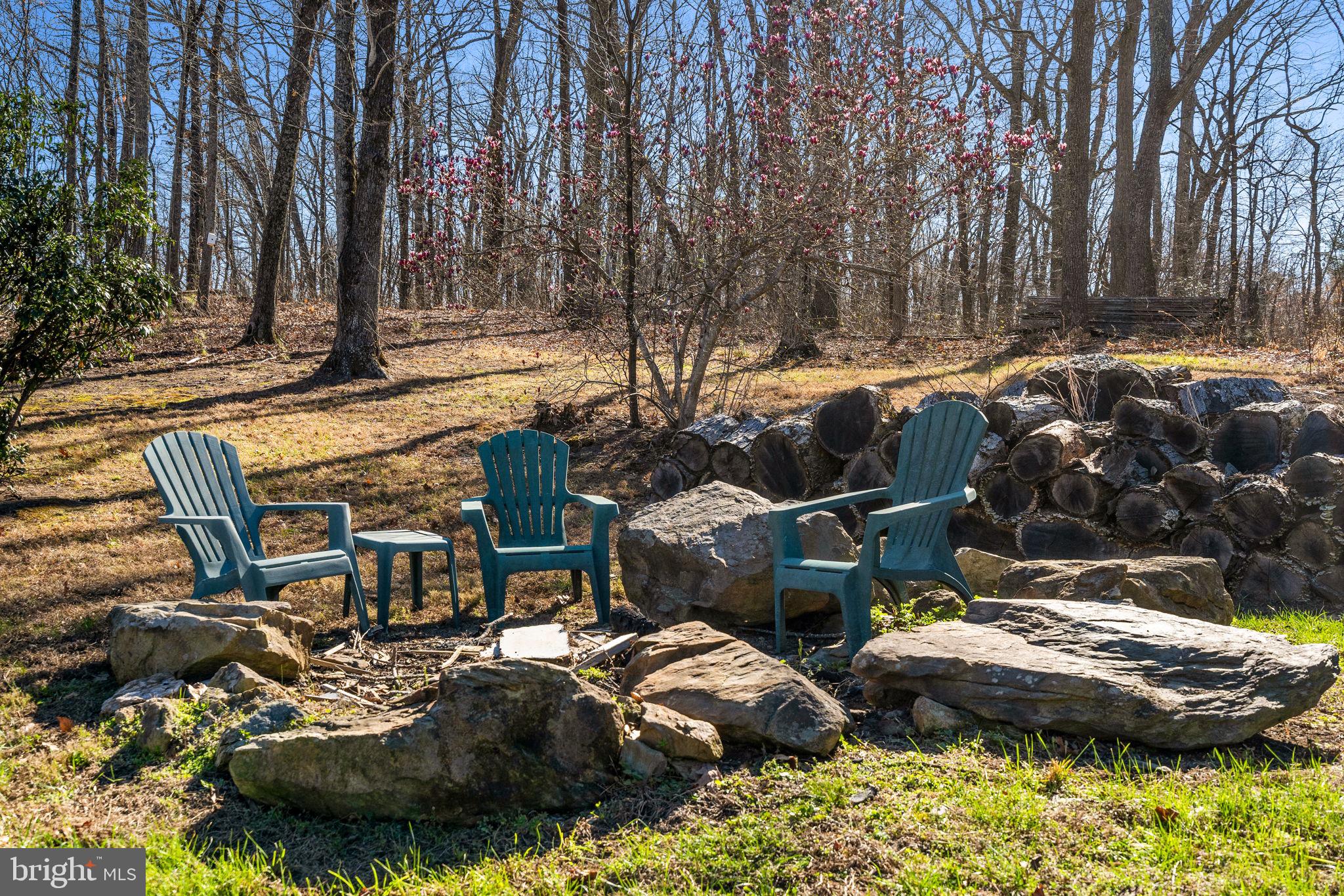 40 Angel Kiss Lane Castleton, VA 22716 - Photo 38 of 56 Stargaze around your fire pit
