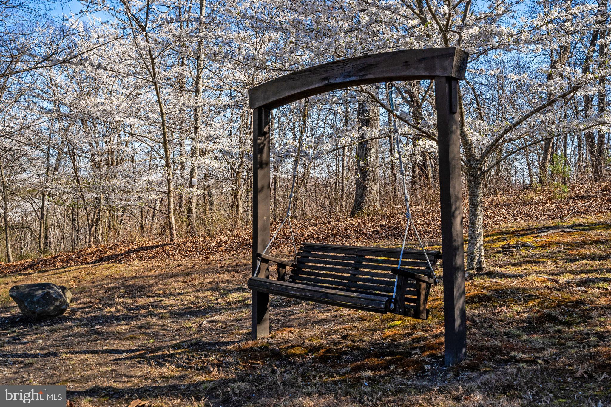 40 Angel Kiss Lane Castleton, VA 22716 - Photo 54 of 56 Imagine yourself here!