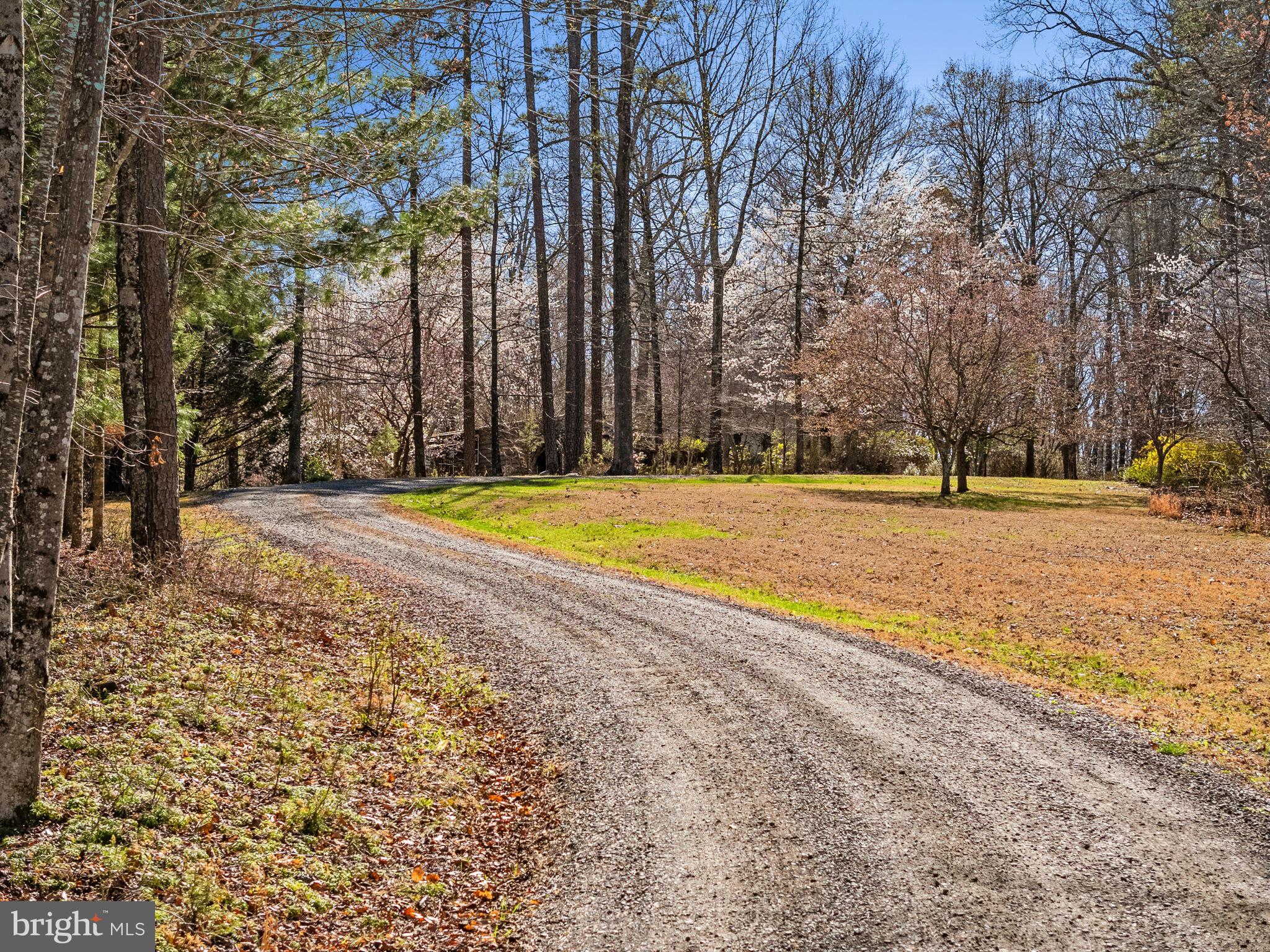 40 Angel Kiss Lane Castleton, VA 22716 - Photo 55 of 56 A place of nature and enjoyment
