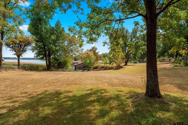 a view of a yard with an tree