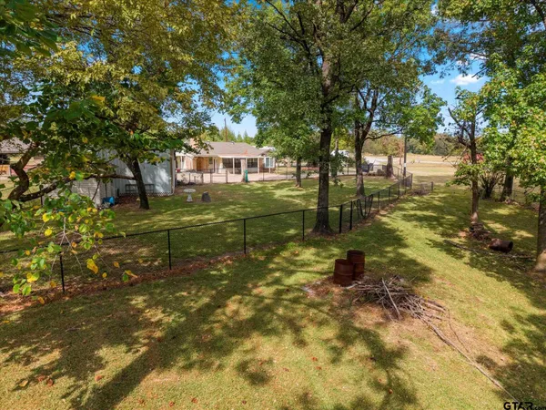 a view of a tree in a yard