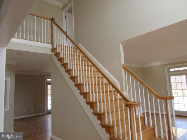 116 Paulowina Road Queen Anne, MD 21657 - Photo 7 of 20 Interior (General)