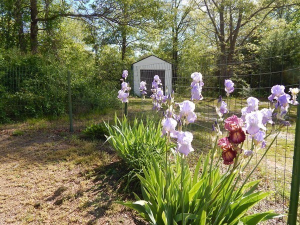 109 Bullock Road Freetown, MA 02717 - Photo 25 of 30 Gallery Image 25