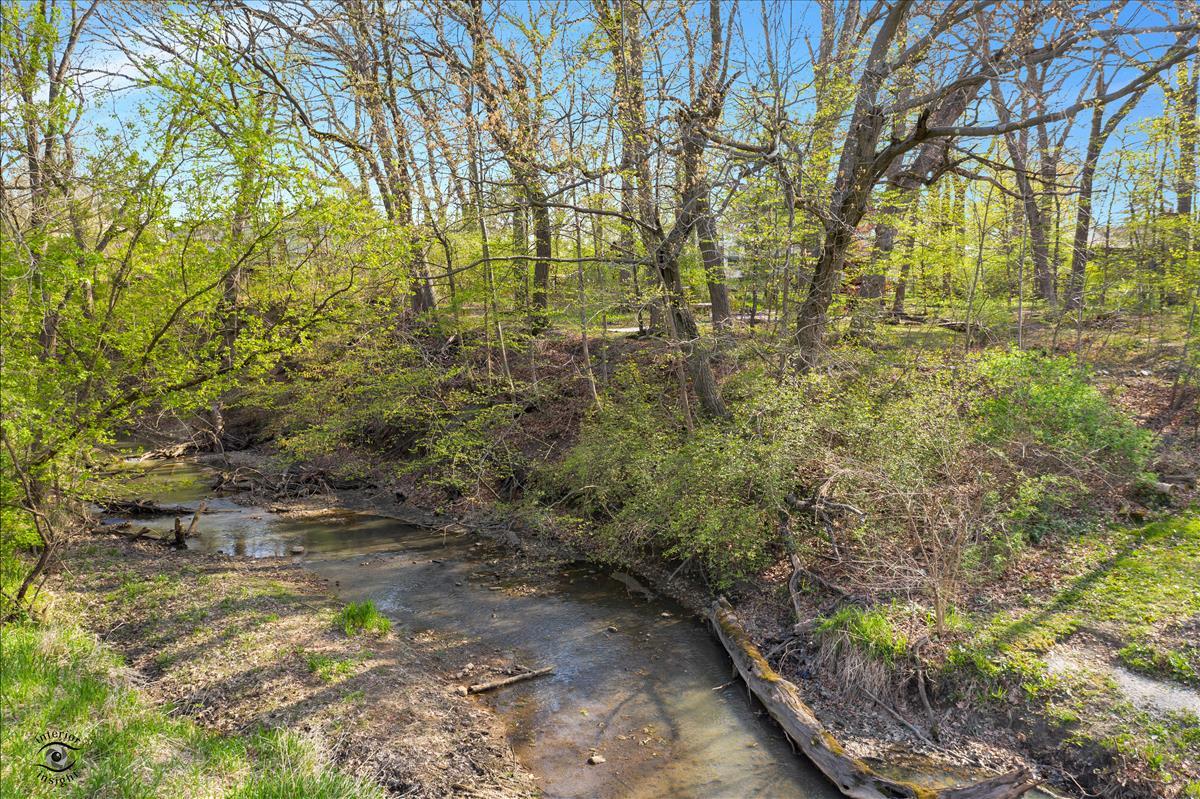 845 Highland Road Frankfort, IL 60423 - Photo 14 of 48