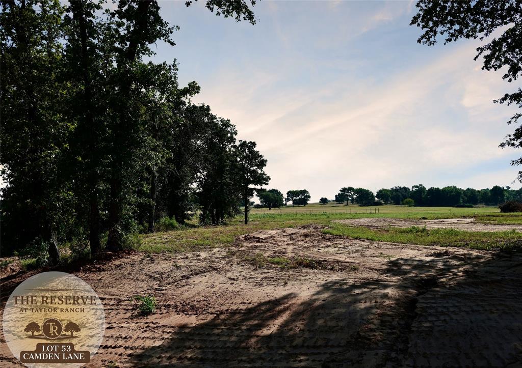 Lot 53 Camden Lane Springtown, TX 76082 - Photo 1 of 8 a view of lake view with trees around