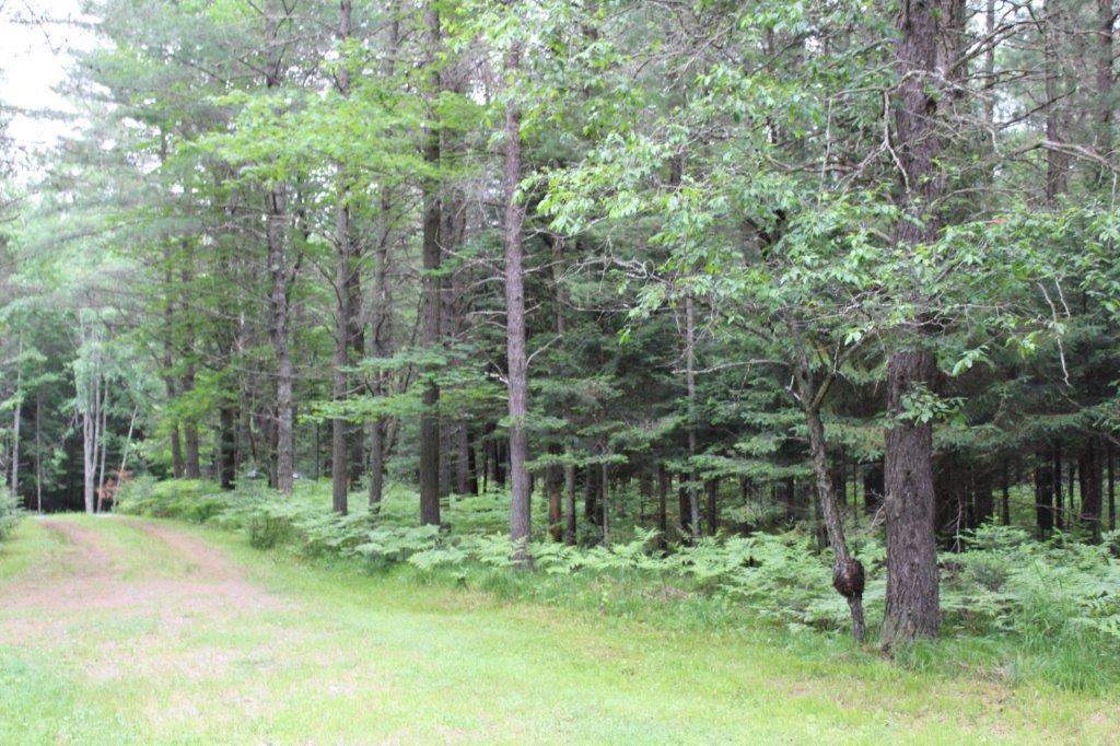4577 Pioneer Road Conover, WI 54519 - Photo 28 of 31 Gallery Image 28