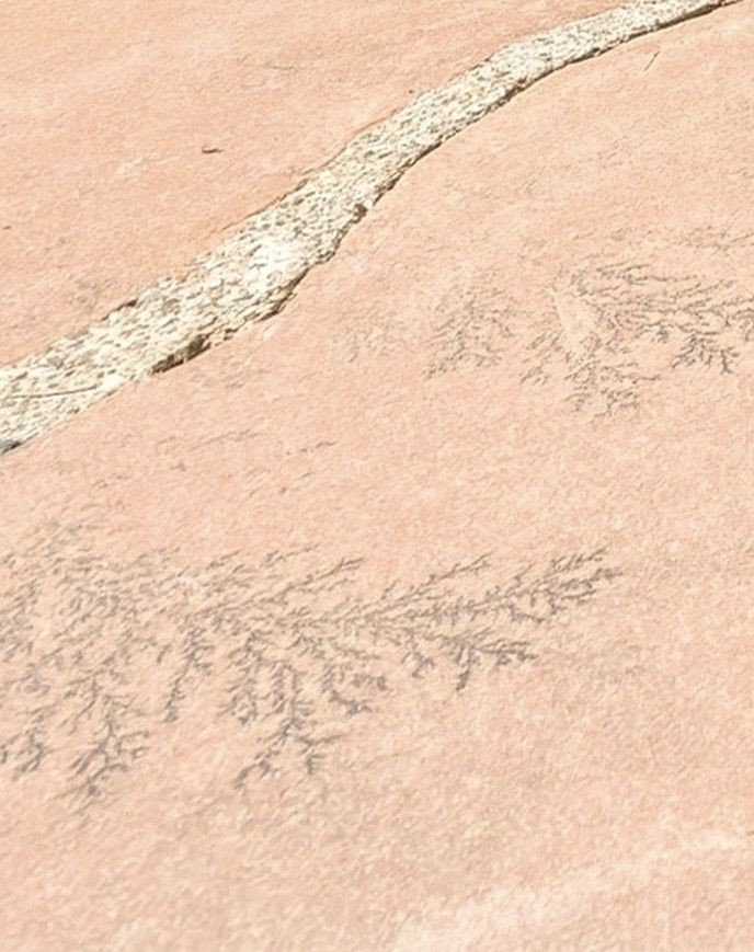 1692 Upper Canyon Road Santa Fe, NM 87501 - Photo 43 of 52 Fossilized leaf patterns-nature's timeless artistry-etched in the stone. Discover these quiet treasures throughout the property.