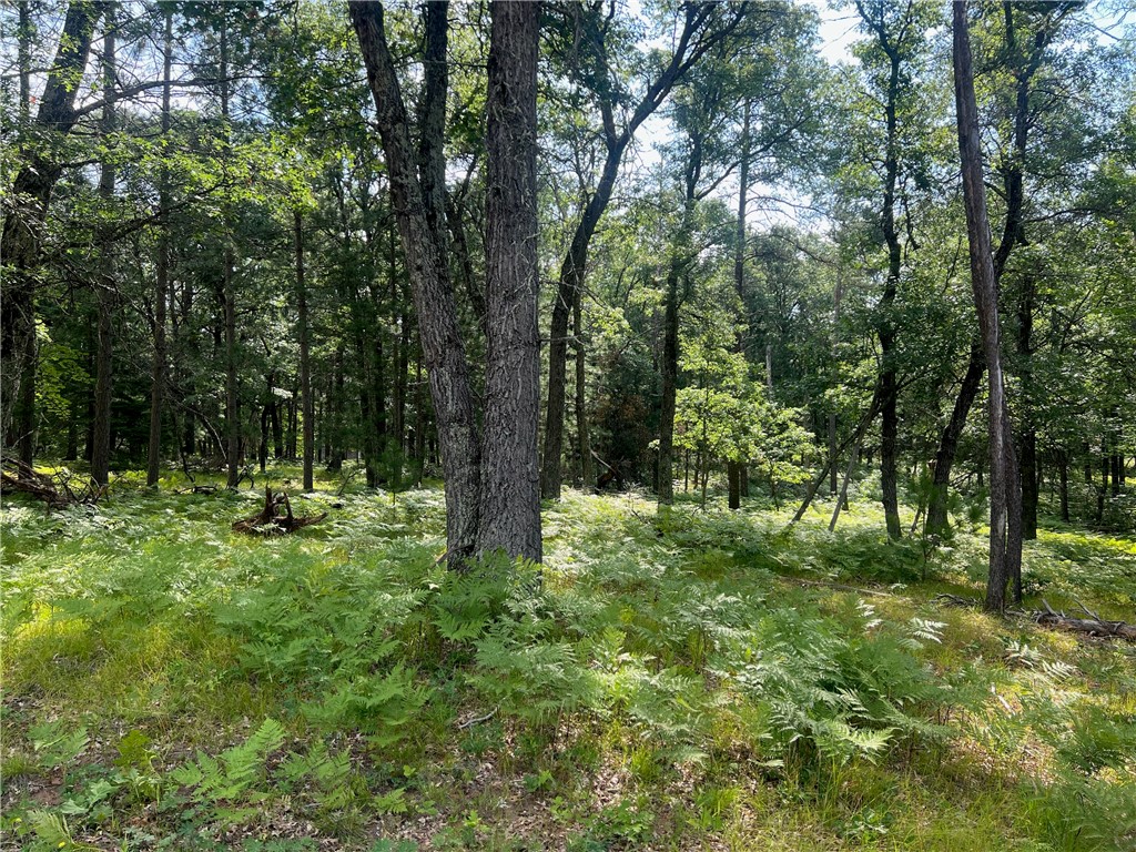 Lot 42 Spotted Fawn Road Danbury, WI 54830 - Photo 15 of 15