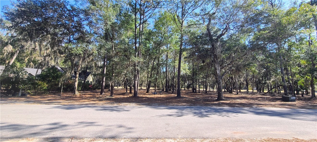 826 Bridge Island Drive Northeast Townsend, GA 31331 - Photo 4 of 15