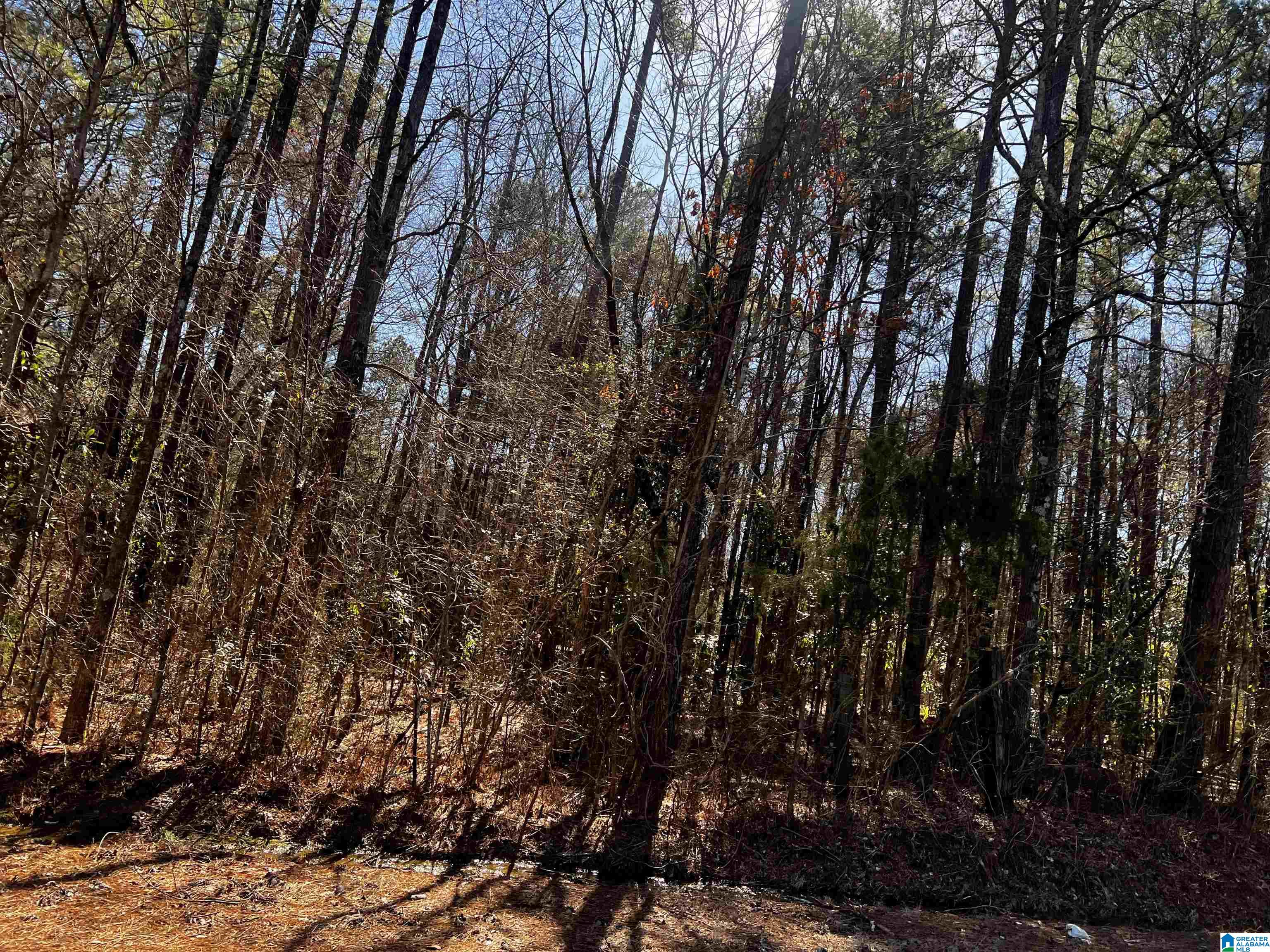 0 Wolf Creek Road North, Unit 10 ACRES Pell City, AL 35125 - Photo 14 of 15