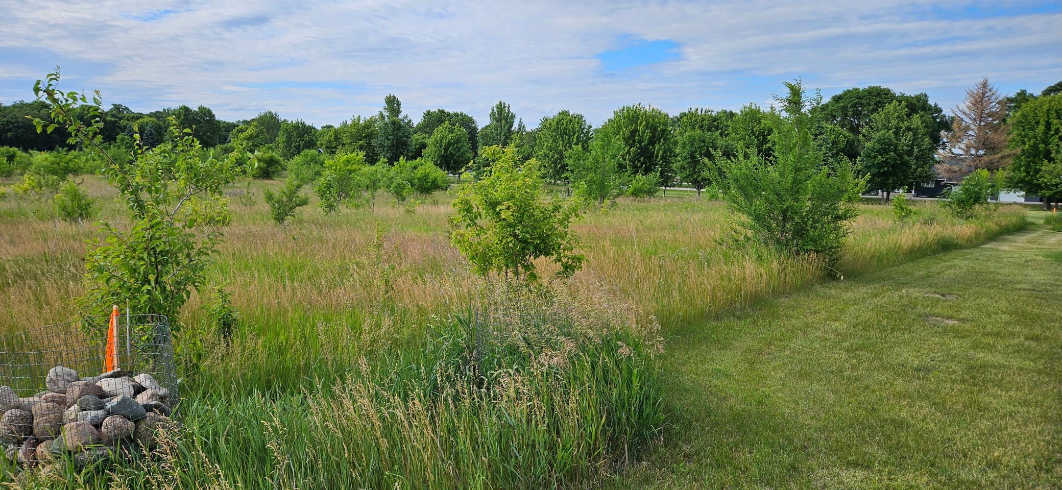 Tbd Schuelke Beach Road Northwest Miltona, MN 56354 - Photo 7 of 9