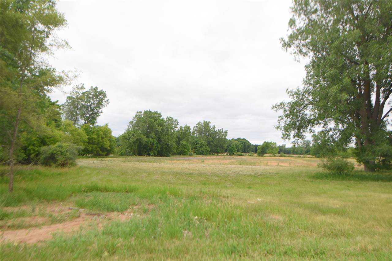 Vacant Ridge Road Elsie, MI 48831 - Photo 1 of 1