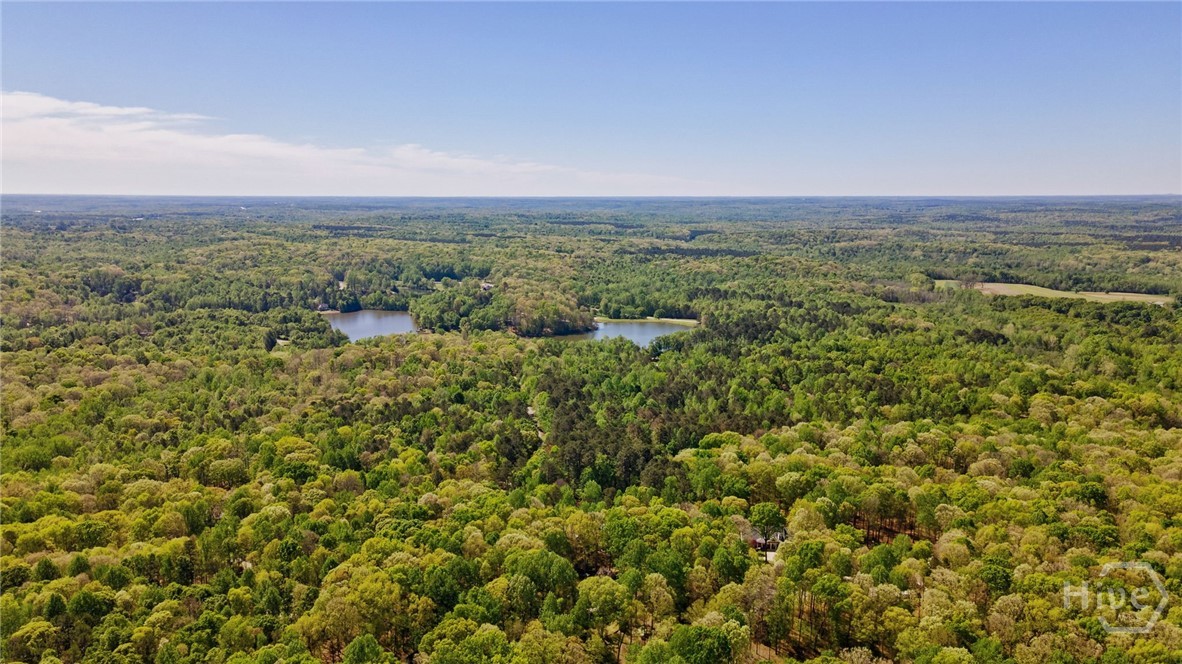 251 Tall Timber Trail Nicholson, GA 30565 - Photo 48 of 51