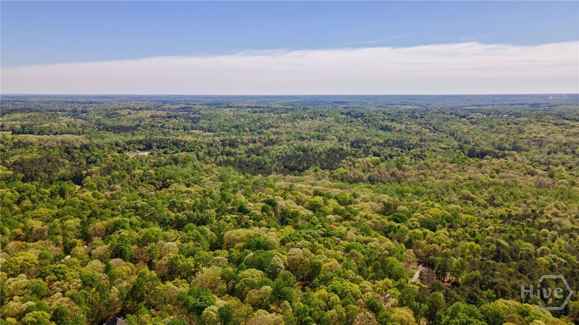 251 Tall Timber Trail Nicholson, GA 30565 - Photo 49 of 51