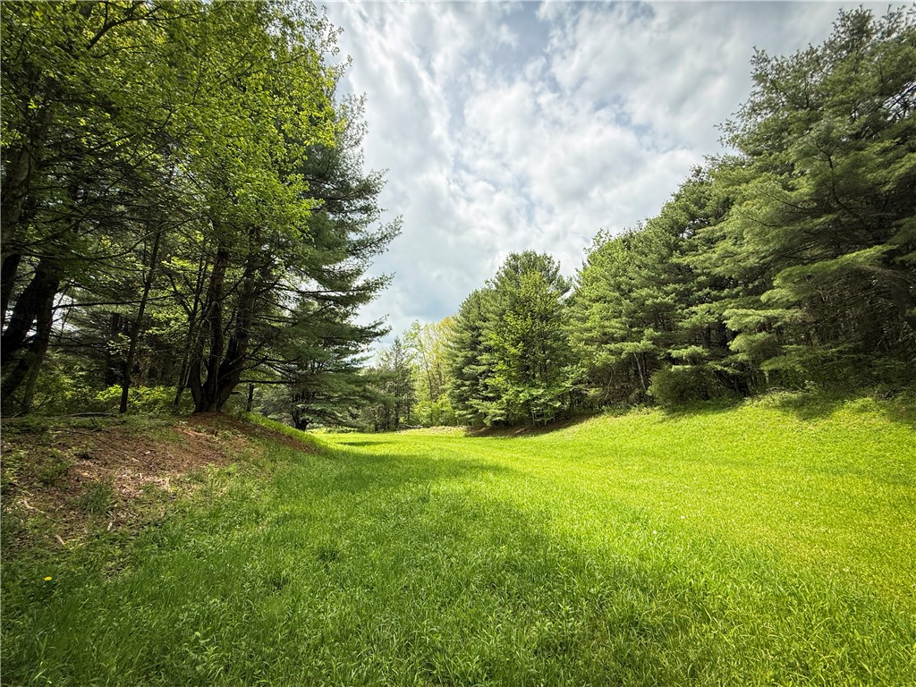450 Dean Creek Road Spencer, NY 14883 - Photo 25 of 50