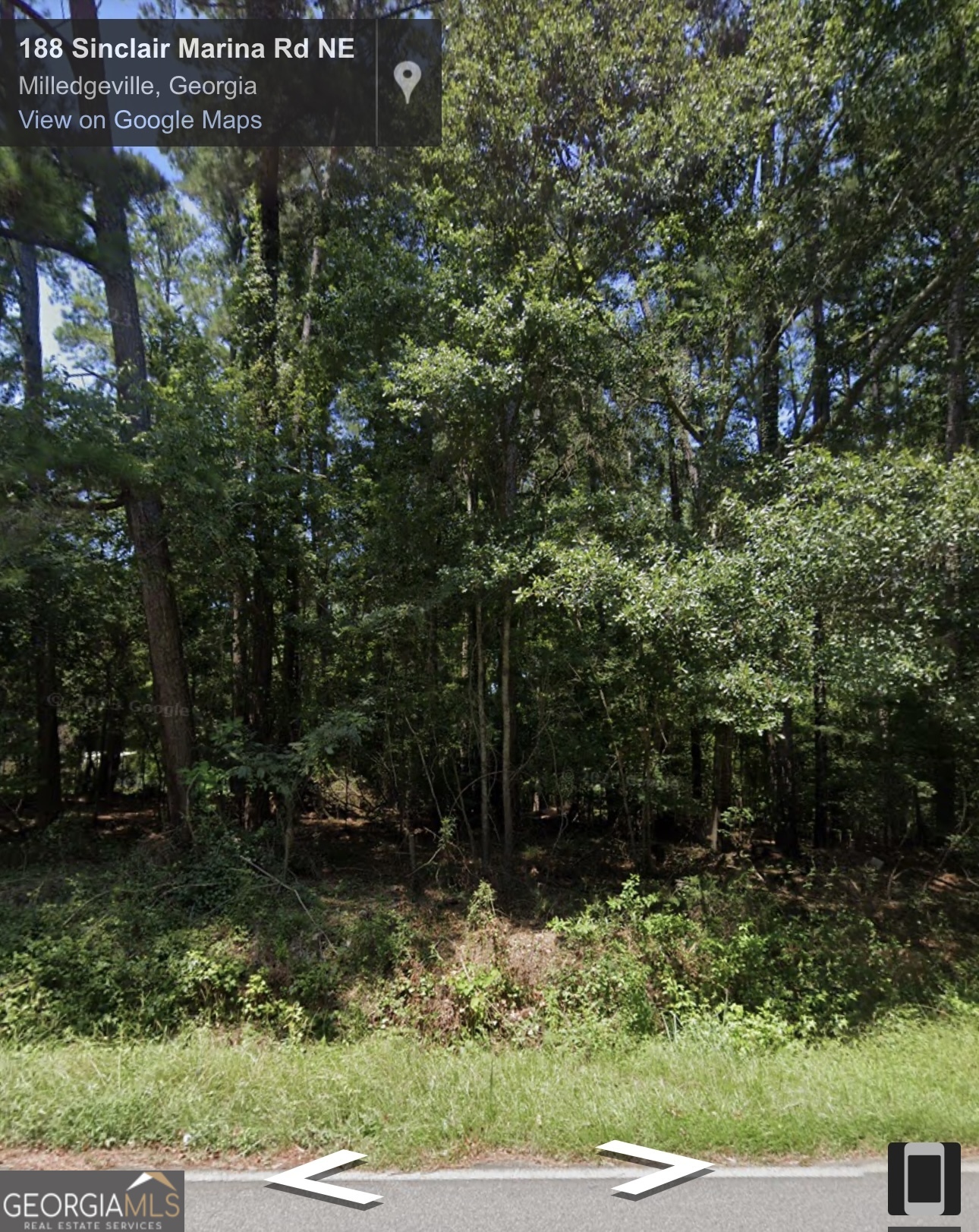 190 Sinclair Marina Road Northeast Milledgeville, GA 31061 - Photo 3 of 3 a view of backyard with green space