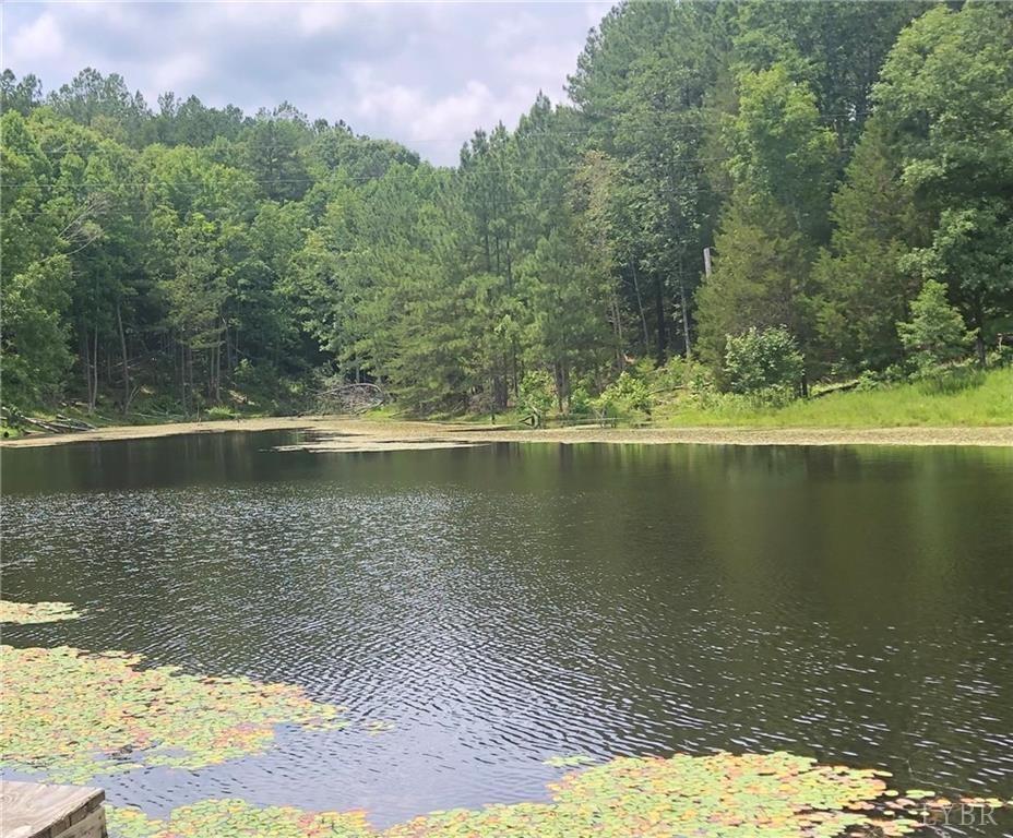 2341 Chappell Road Keysville, VA 23947 - Photo 2 of 4 a view of a lake view