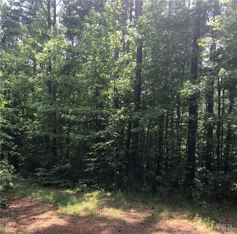 2341 Chappell Road Keysville, VA 23947 - Photo 4 of 4 a view of outdoor space and yard