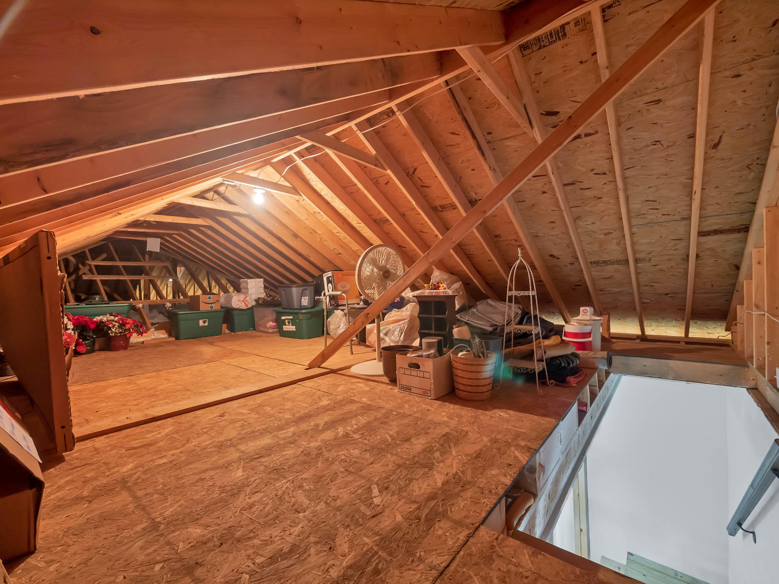 12003 Thatch Road Harrison, TN 37341 - Photo 34 of 45 300 Sq Ft of Floored Attic Storage