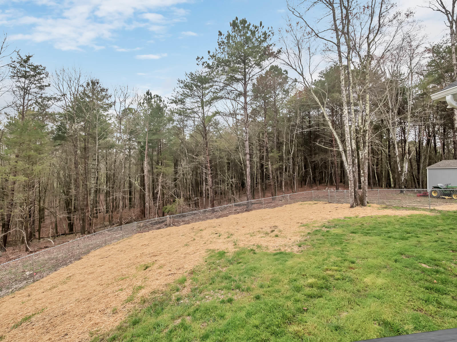 12003 Thatch Road Harrison, TN 37341 - Photo 44 of 45 Back/Side Yard looking at Outbuilding