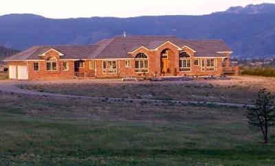 a front view of a house with yard and green space