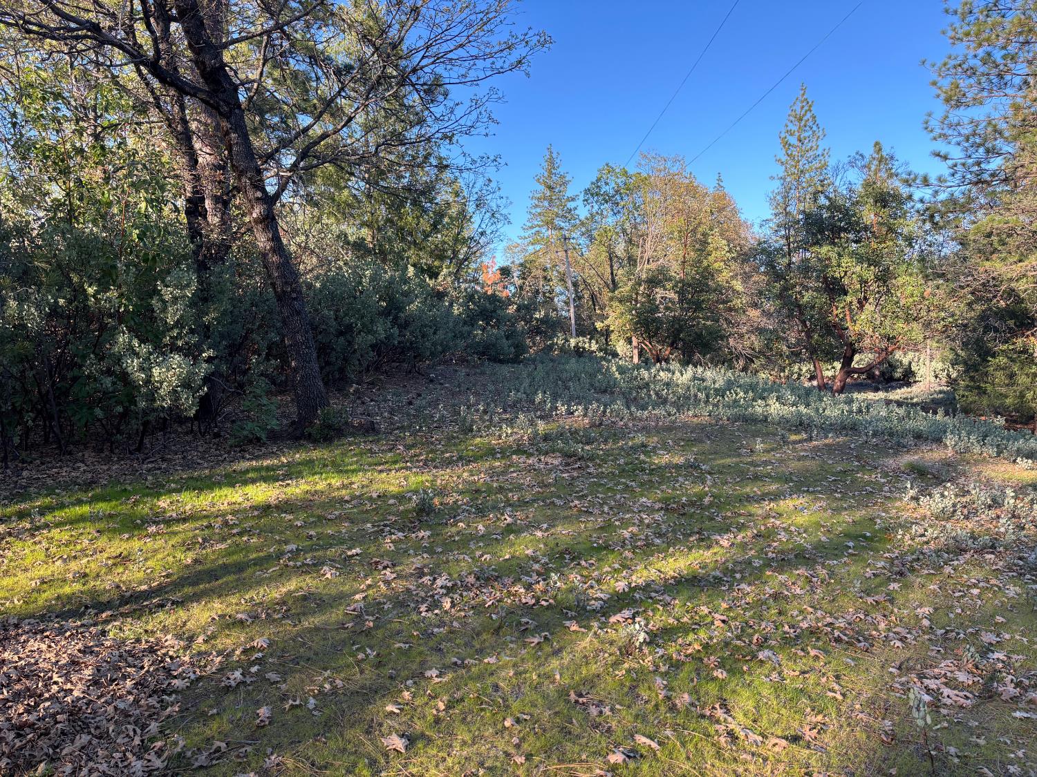 4110 Pine Mountain Road Foresthill, CA 95631 - Photo 5 of 10 a view of a swimming pool with an outdoor space