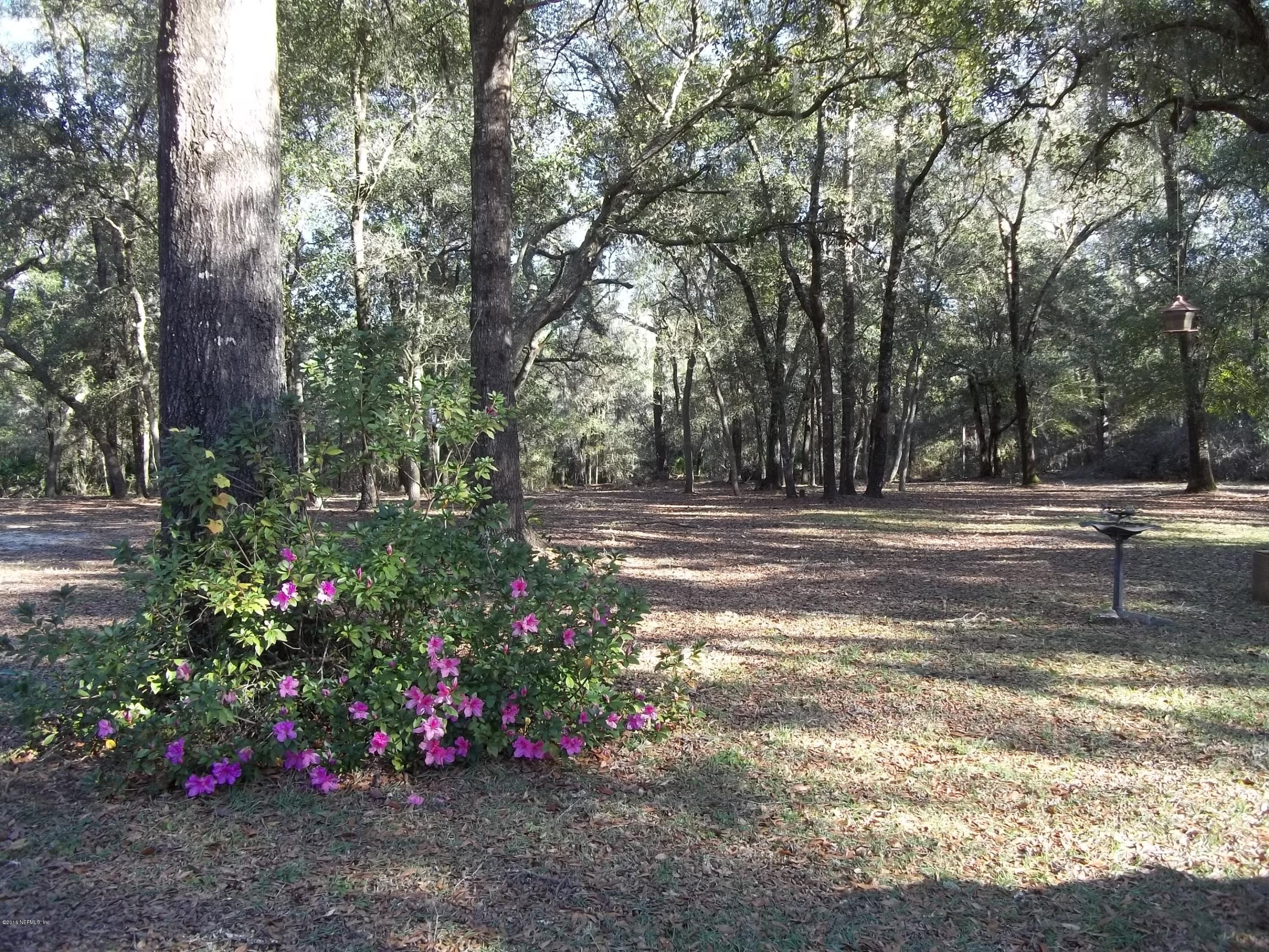 4704 Gadara Road Keystone Heights, FL 32656 - Photo 11 of 21 back yard 2