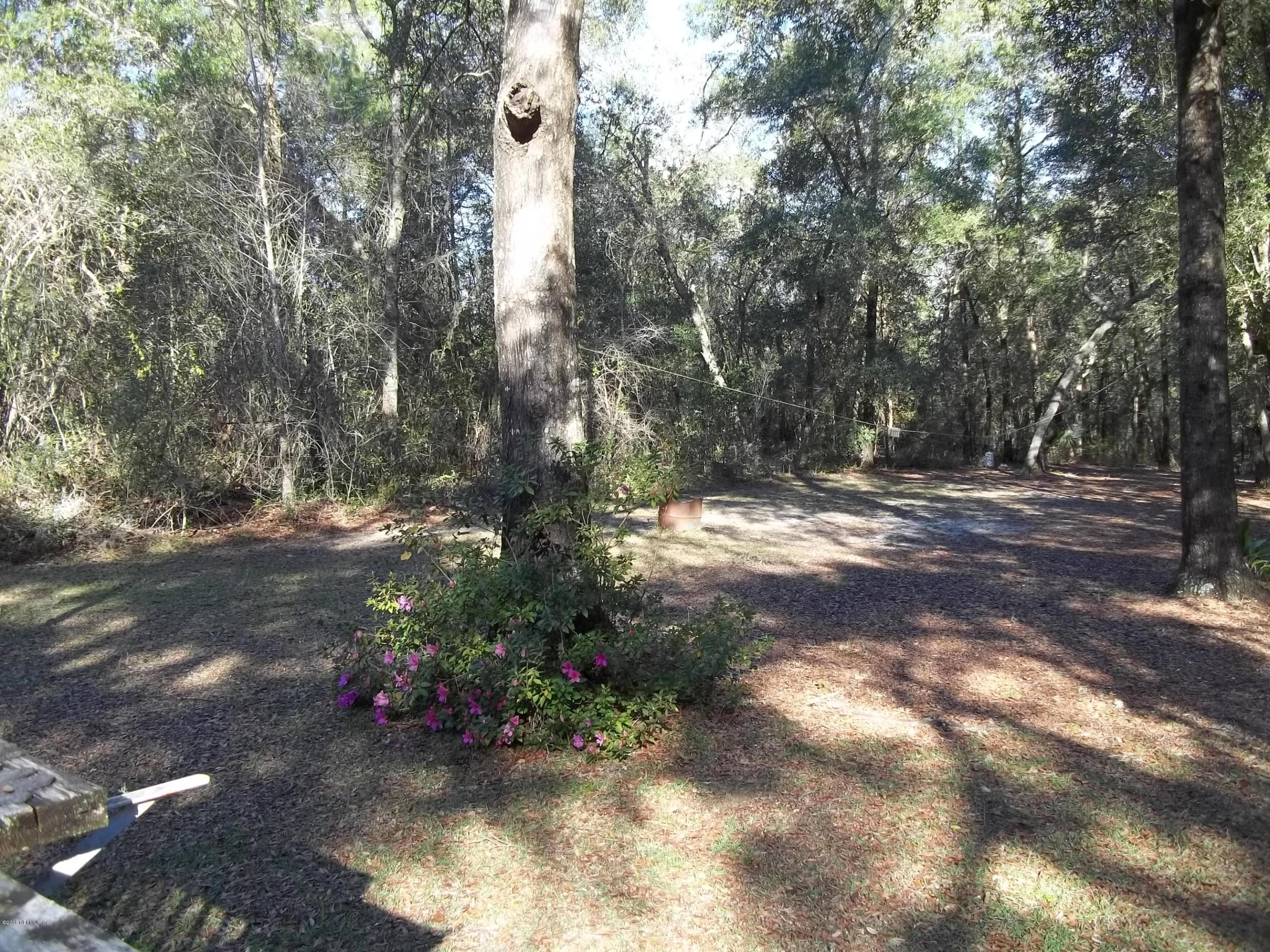 4704 Gadara Road Keystone Heights, FL 32656 - Photo 12 of 21 back yard