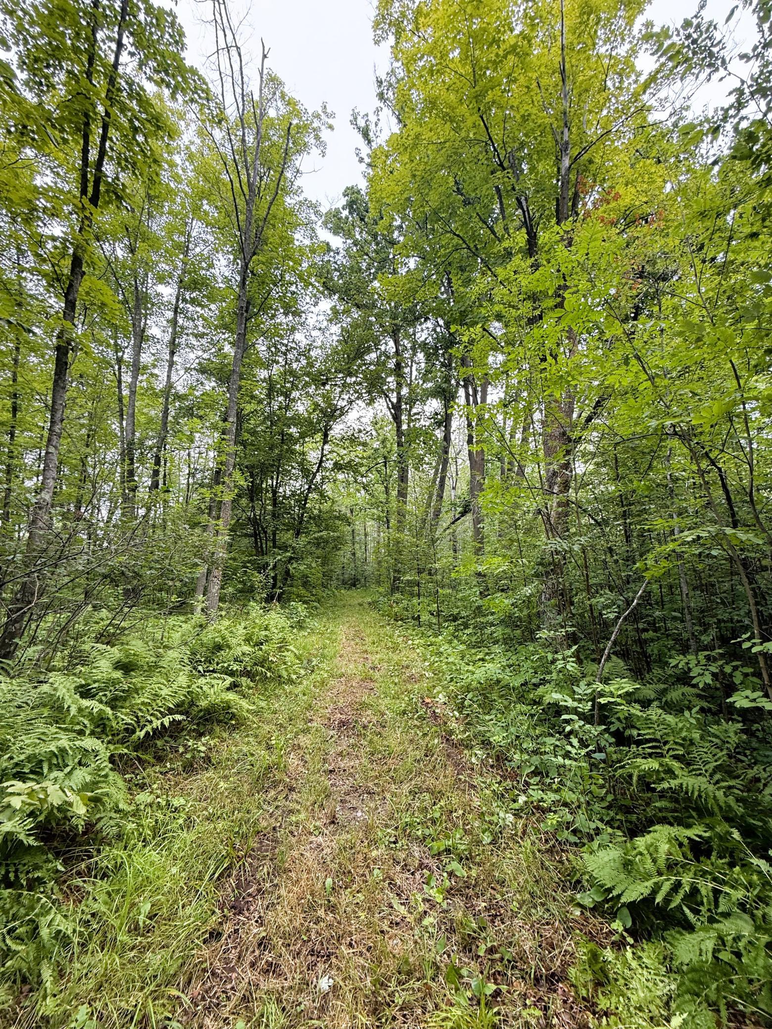 5080 Tower Road Moose Lake, MN 55767 - Photo 39 of 49 Gallery Image 39