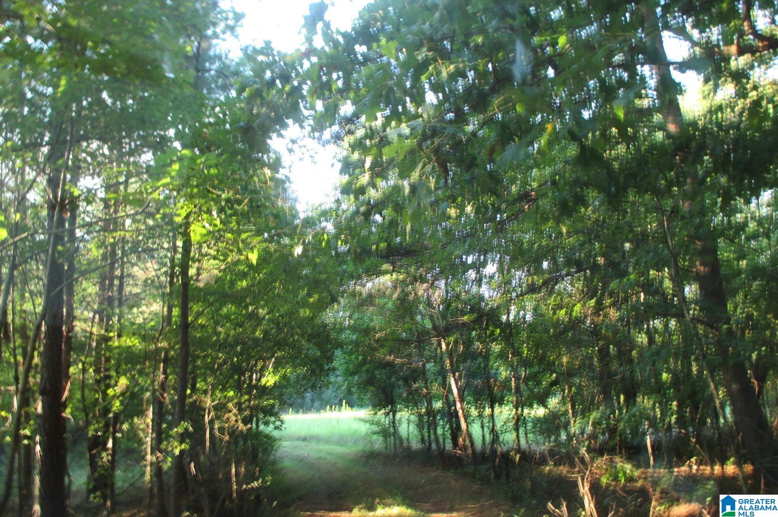 6151 Highway 27 Springville Al Springville, AL 35146 - Photo 20 of 27