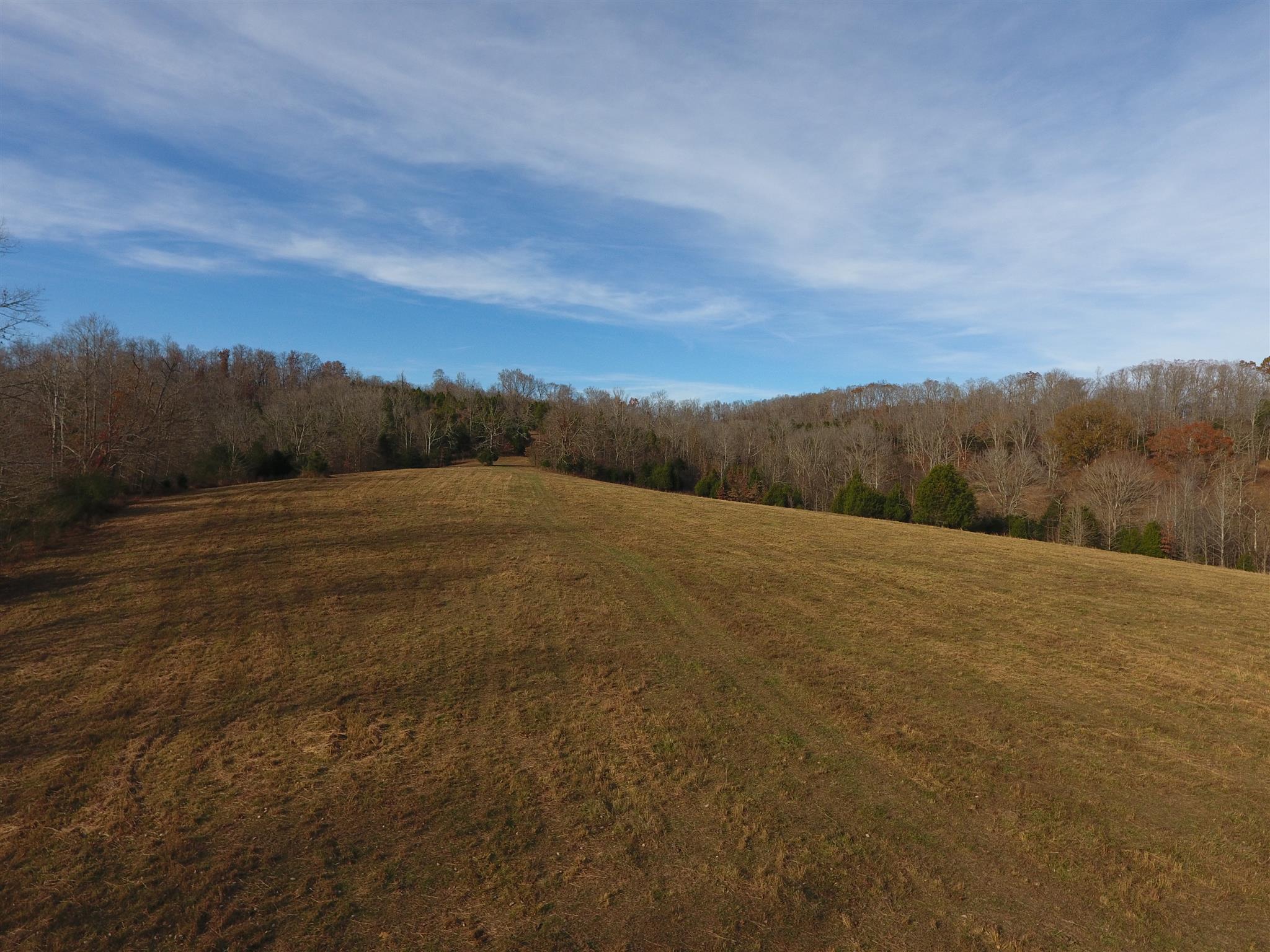 1505 Old Lock A Road Charlotte, TN 37036 - Photo 11 of 30 Gallery Image 11