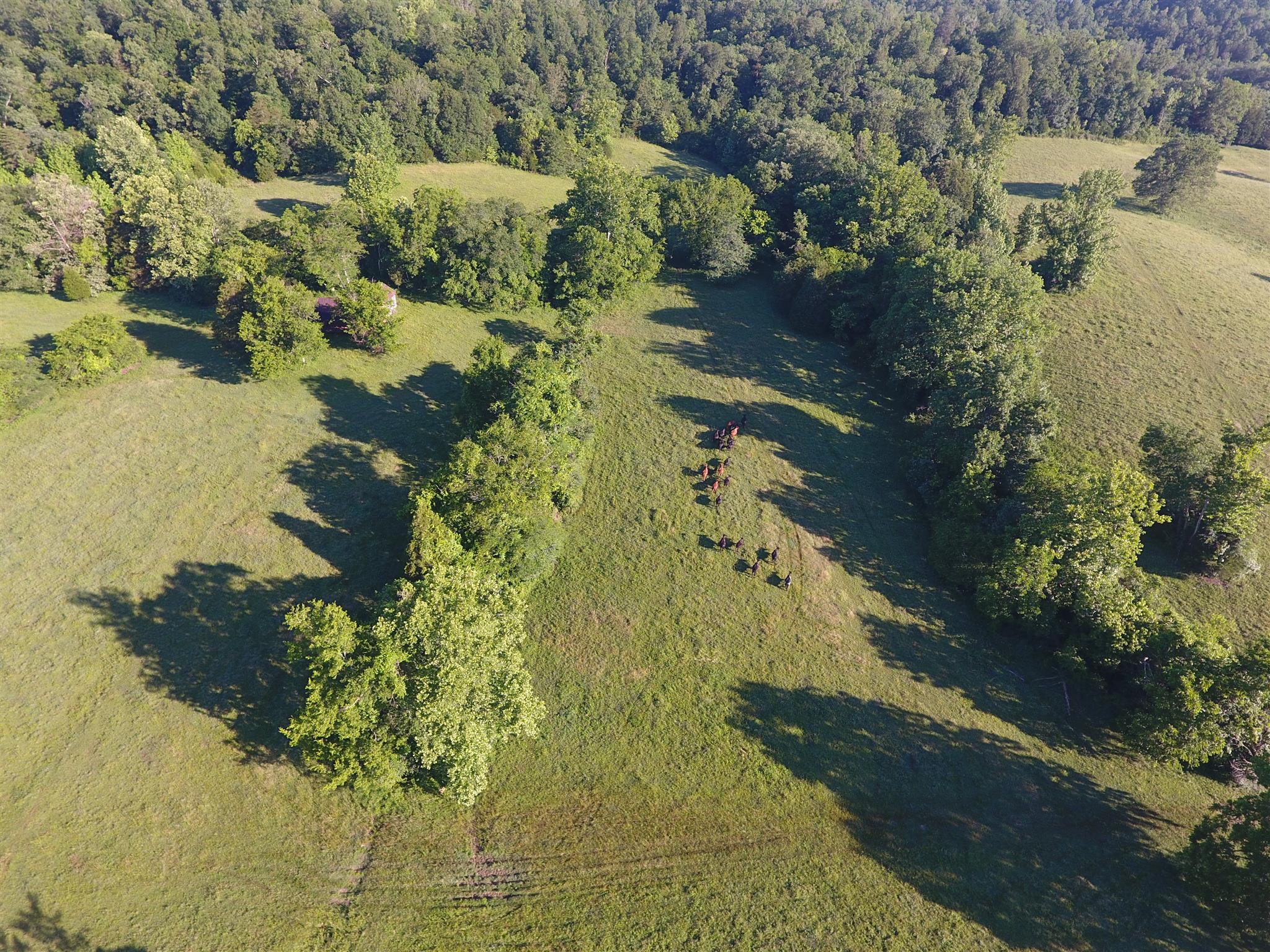 1505 Old Lock A Road Charlotte, TN 37036 - Photo 14 of 30 Gallery Image 14