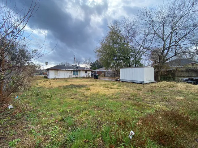 a view of a large garden with tall trees