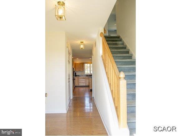 28955 Stockley Road Milton, DE 19968 - Photo 2 of 24 Gallery Image 2