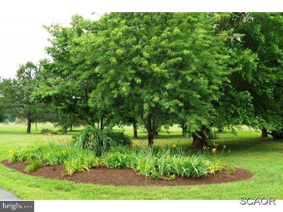 28955 Stockley Road Milton, DE 19968 - Photo 24 of 24 Gallery Image 24