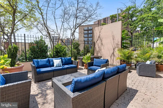 a view of a patio with couches and a potted plant on a table