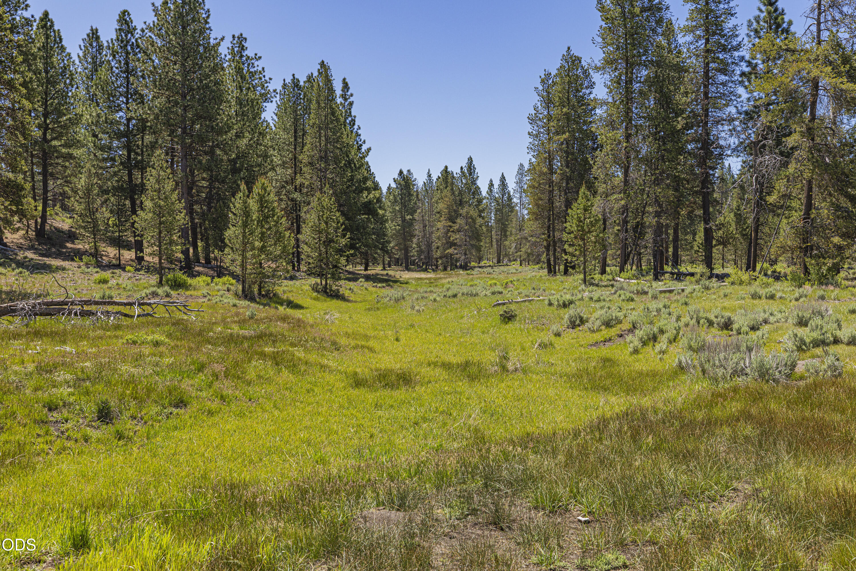 Williamson River Road, Unit 206226 Chiloquin, OR 97624 - Photo 40 of 50