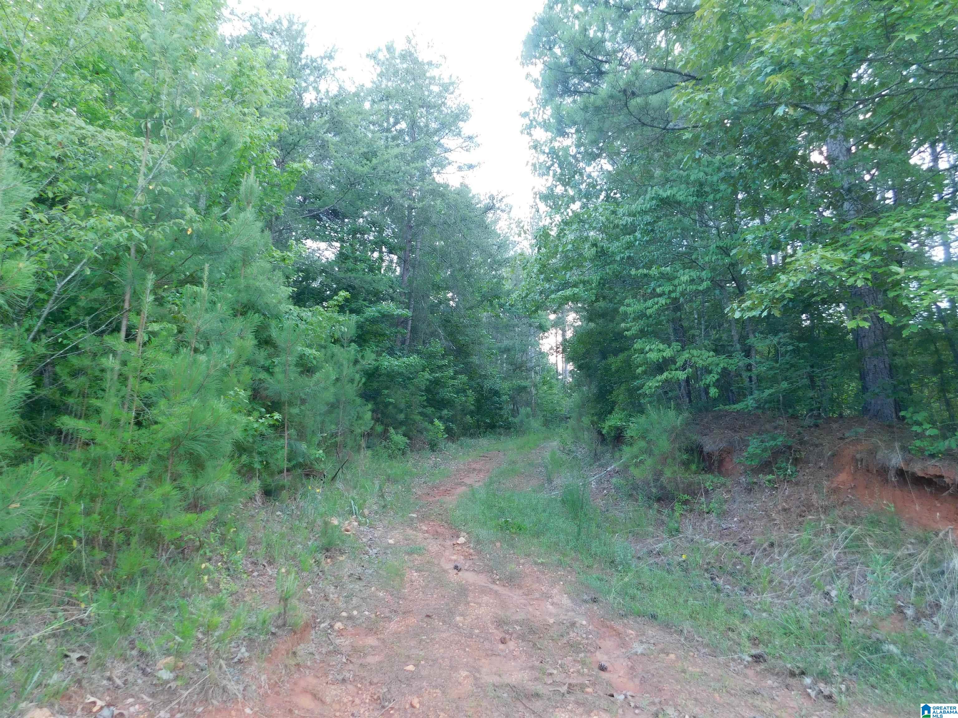 337 Lees Bridge Road, Unit 17 01 06 14 0 000 005 Delta, AL 36258 - Photo 4 of 8